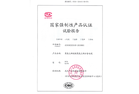 BVVB 300/500V 0.75-6(2-3芯); BLVVB 300/500V 2.5-6(2-3芯 )